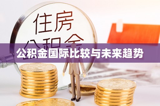 穆棱公积金国际比较与未来趋势