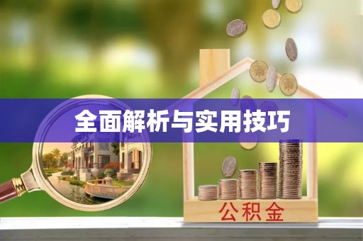 穆棱全面解析与实用技巧