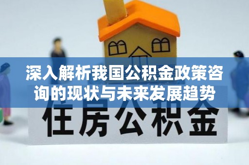 穆棱深入解析我国公积金政策咨询的现状与未来发展趋势