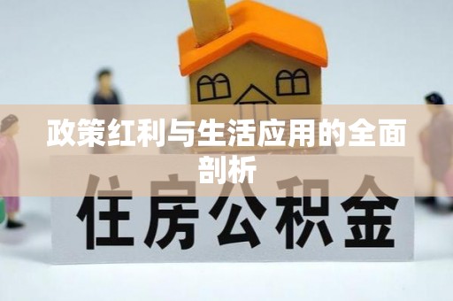 穆棱政策红利与生活应用的全面剖析