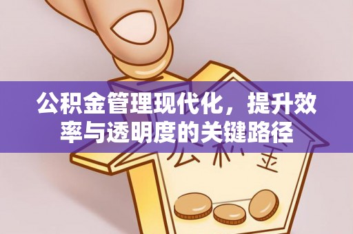 穆棱公积金管理现代化，提升效率与透明度的关键路径