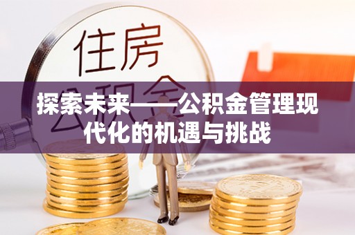 穆棱探索未来——公积金管理现代化的机遇与挑战