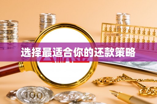 穆棱选择最适合你的还款策略